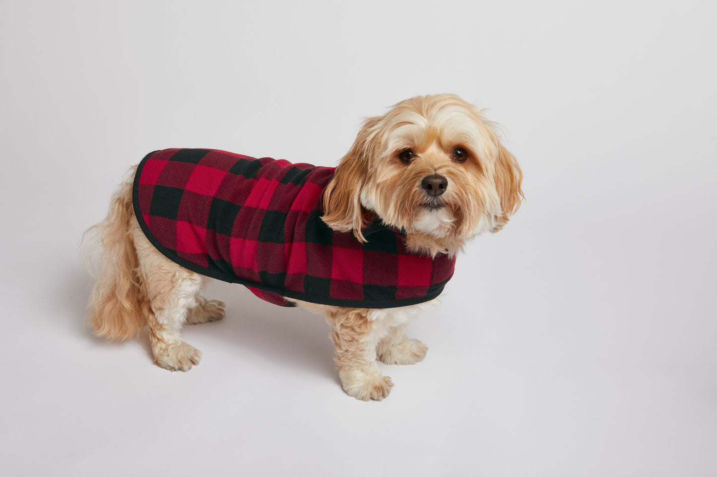 Dog wearing a red and black checkered coat on a light gray background Port Authority® Pet Fleece Jacket, Embroidered