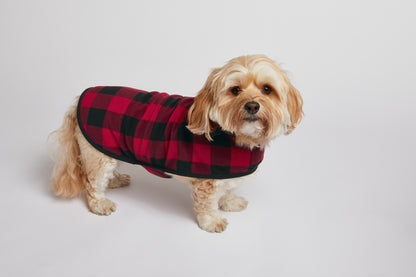 Dog wearing a red and black checkered coat on a light gray background Port Authority® Pet Fleece Jacket, Embroidered