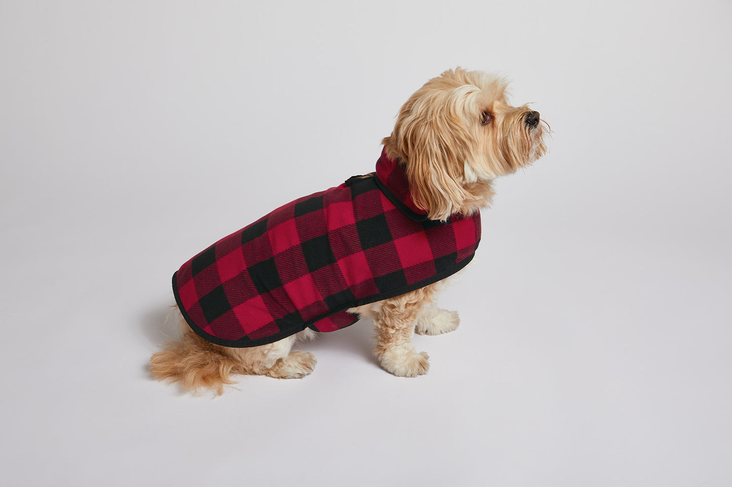 Dog wearing a red and black checkered coat on a light gray background Port Authority® Pet Fleece Jacket, Embroidered