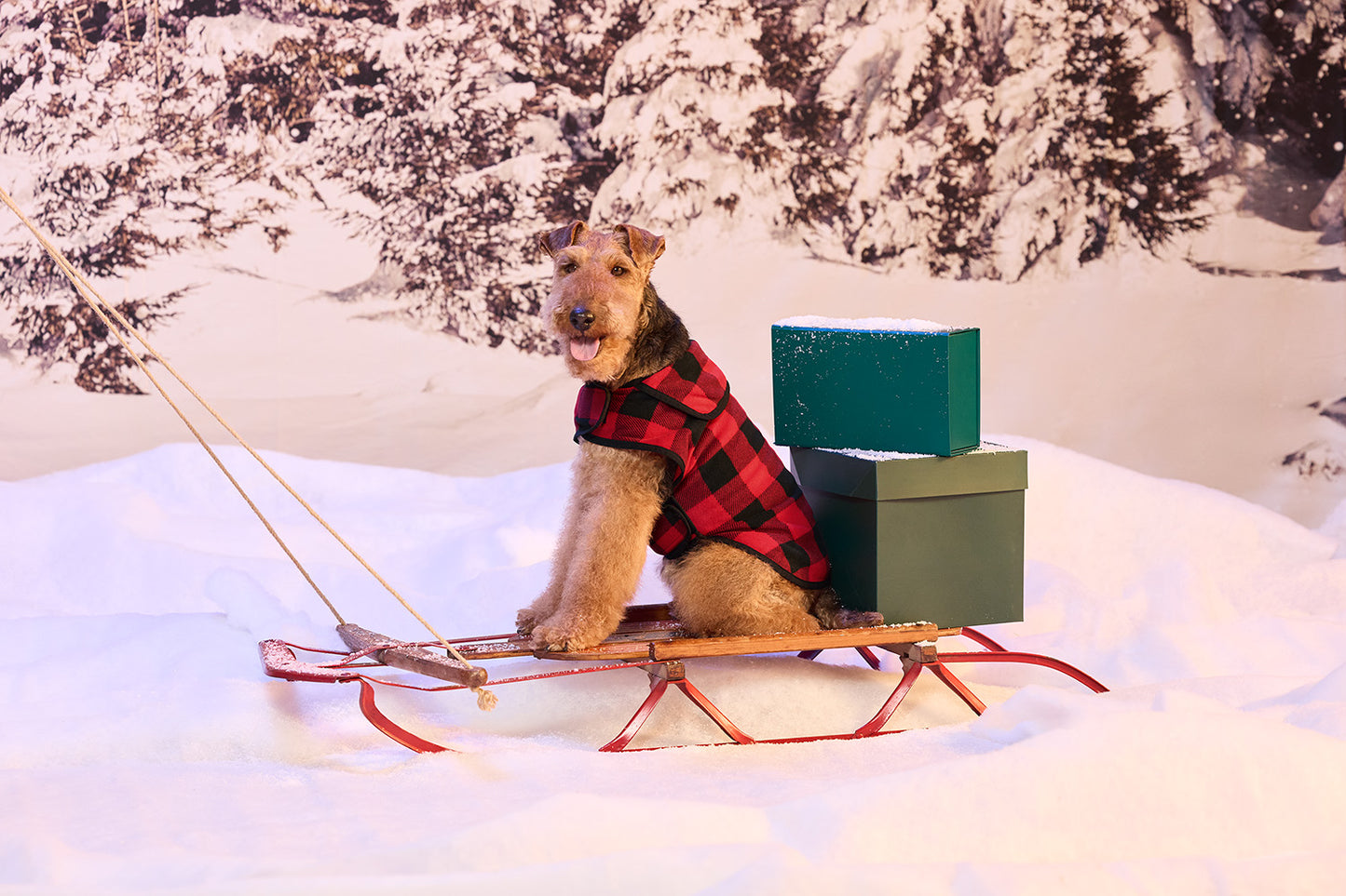 Dog in a red plaid coat sitting on a small sled with a green box in the snow. Port Authority® Pet Fleece Jacket, Embroidered