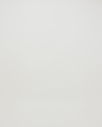 Dickie's Women's Industrial Long Sleeve Work Shirt, Embroidered